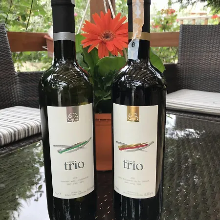 Melrose Pansiyon Hotel 3*